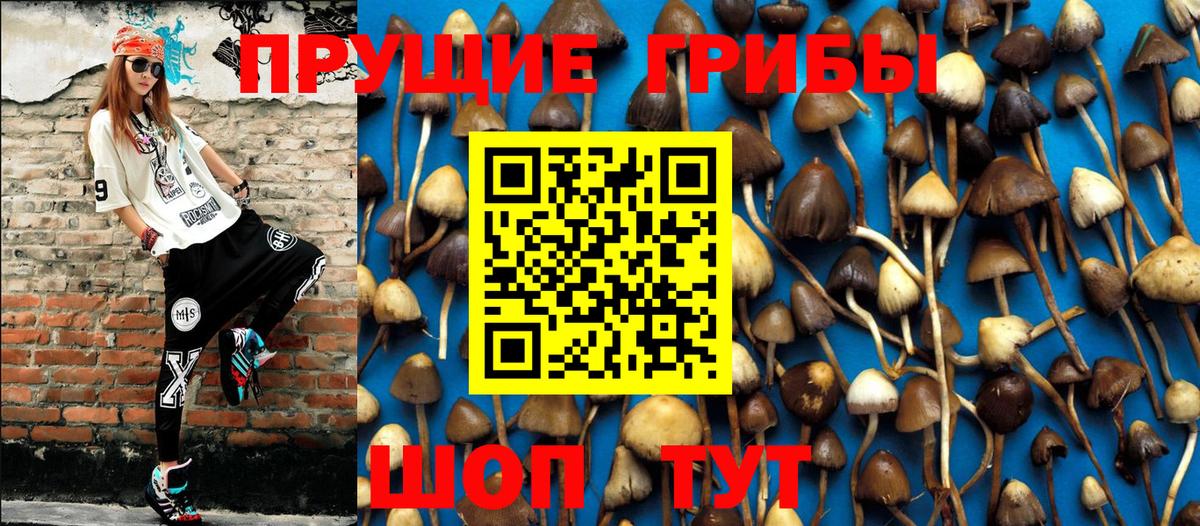 Джанкой  Псилоцибиновые грибы прущие грибы  Вход с VPN 